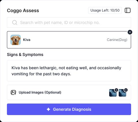 /woovet/coggo-in-woovet.jpg